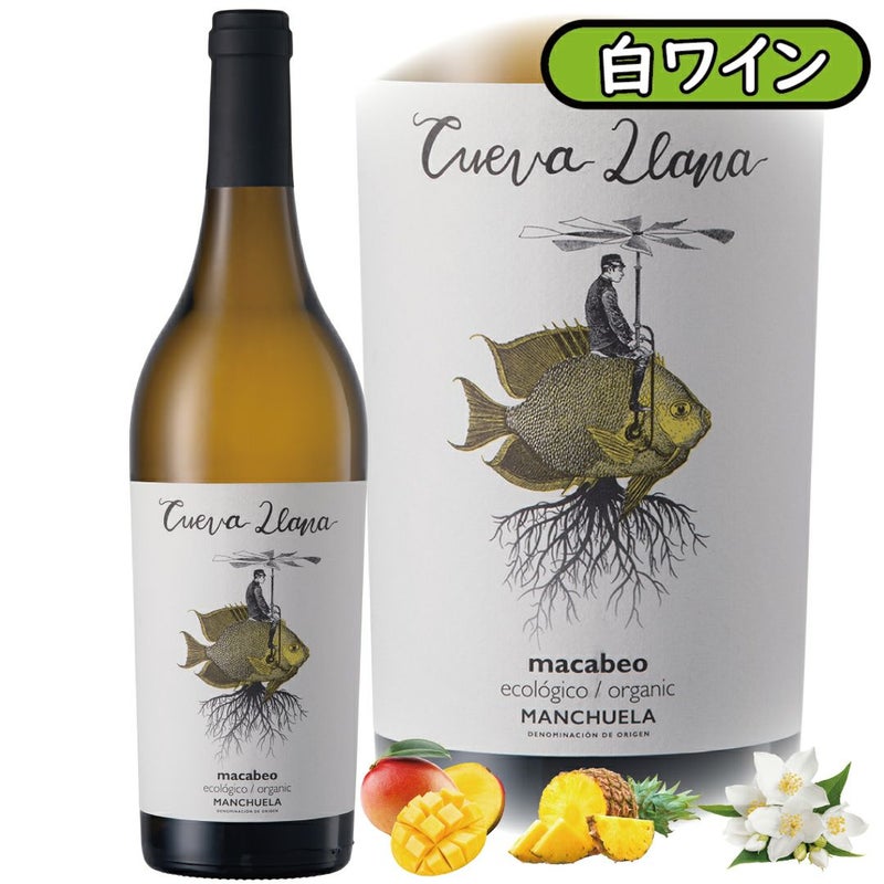 ユニークでファンタジックなオーガニック白ワイン、クエバジャナ・マカベオ