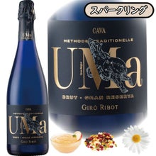 Ursa Major=スペイン語のおおぐま座から、エチケットにも星座を用いたカバ